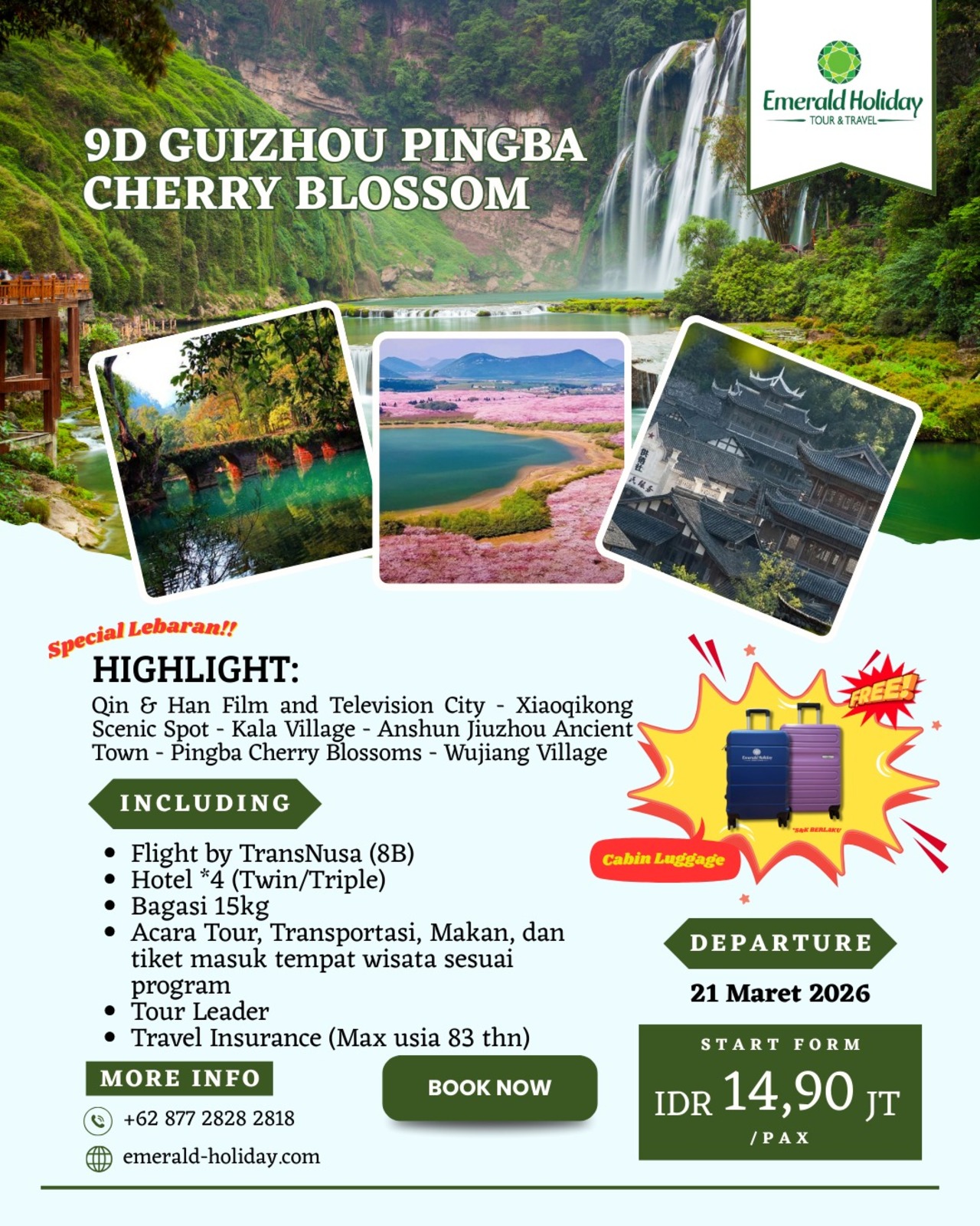 GUIZHOU PINGBA CHERRY BLOSSOM